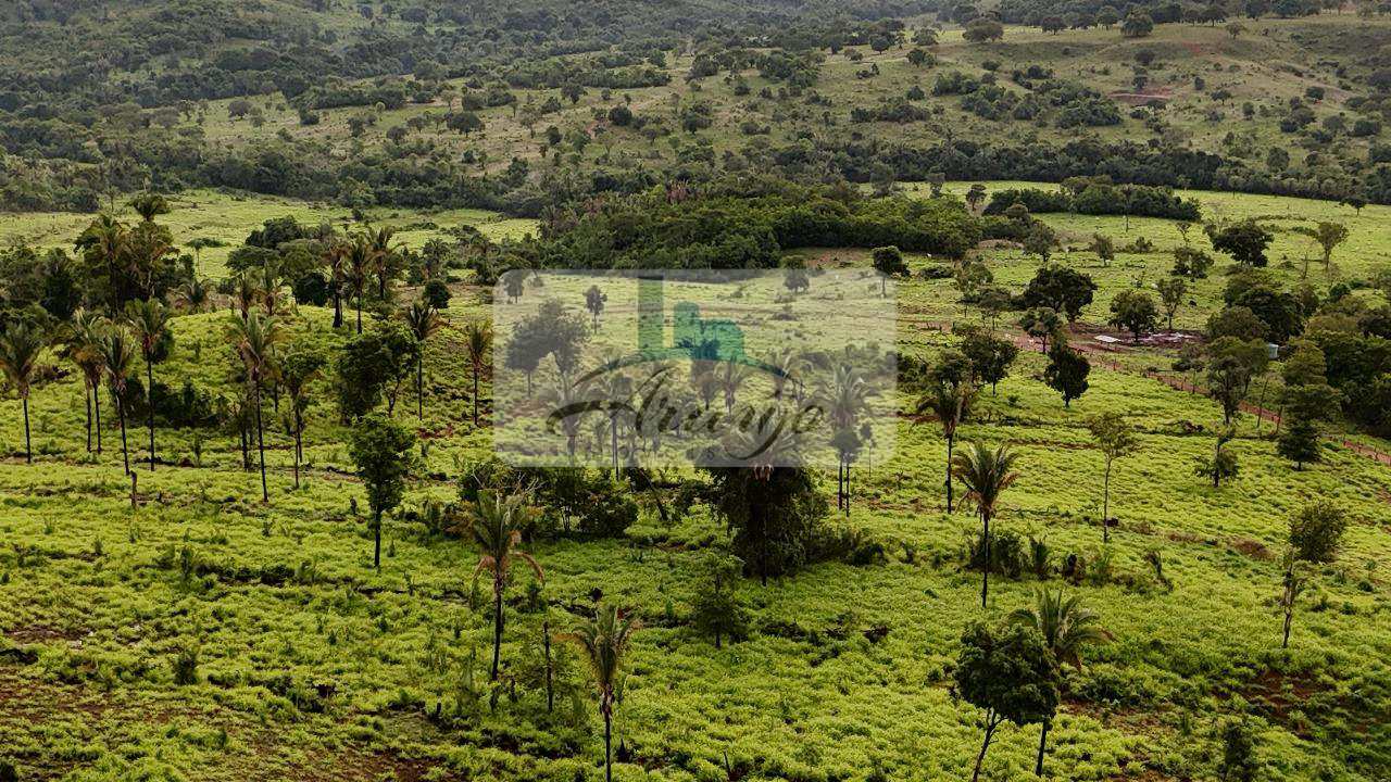 Fazenda à venda com 2 quartos, 30m² - Foto 23