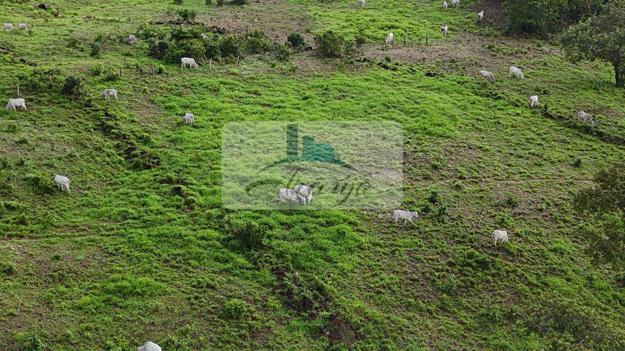 Fazenda à venda com 2 quartos, 30m² - Foto 16