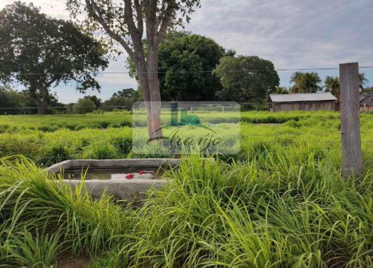 Fazenda à venda com 4 quartos, 147m² - Foto 7