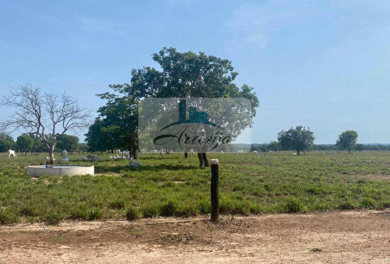 Fazenda à venda com 4 quartos, 147m² - Foto 4