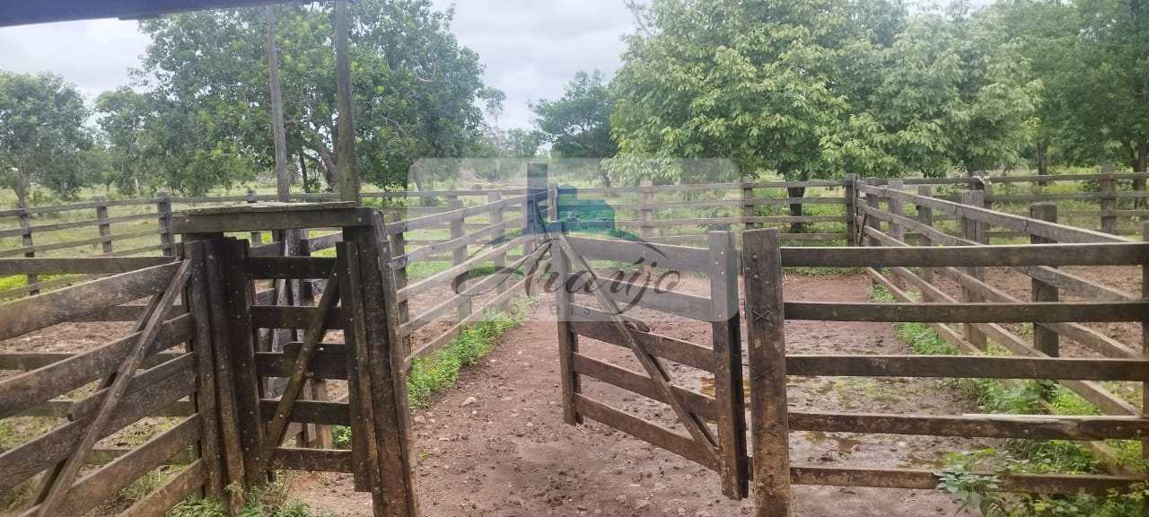 Fazenda à venda com 1 quarto, 95m² - Foto 4