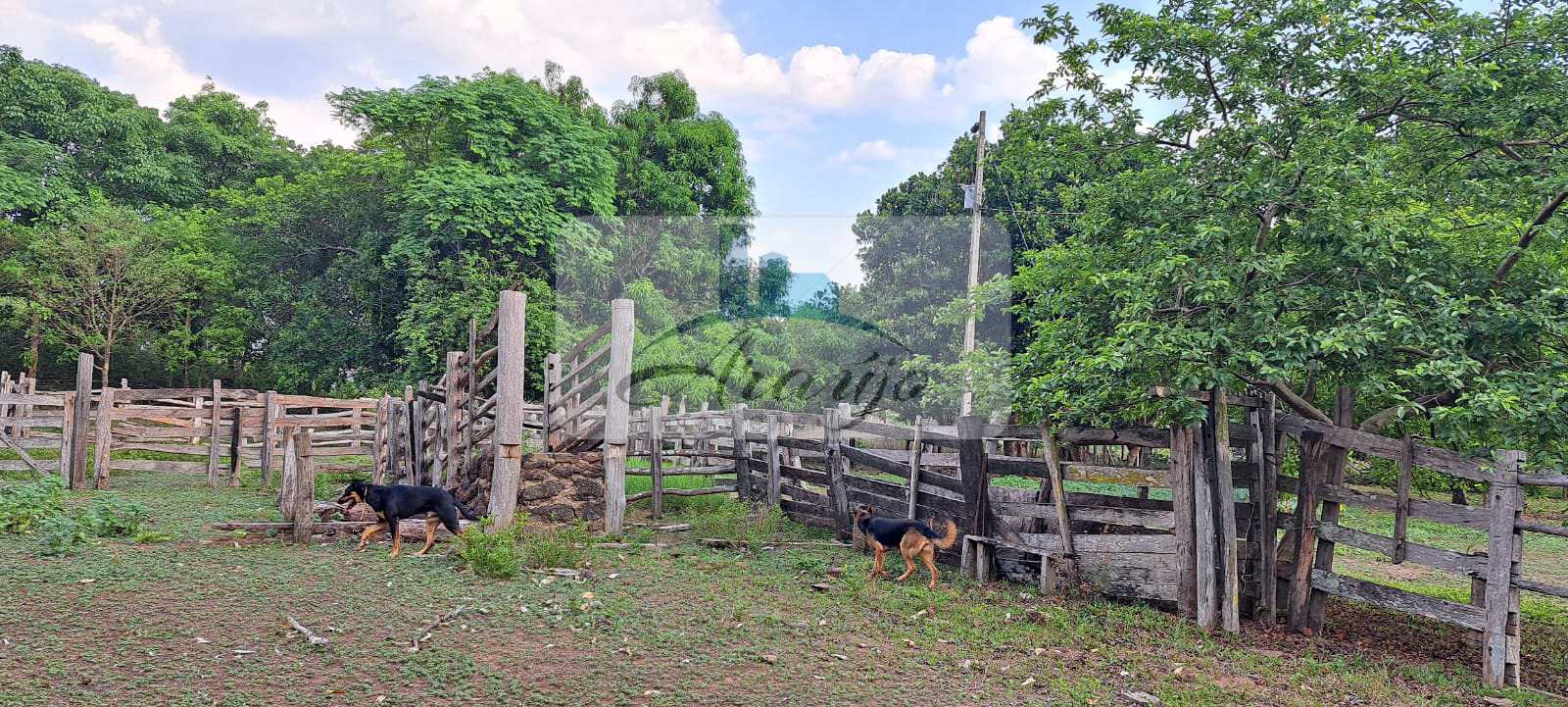 Fazenda à venda com 1 quarto, 30m² - Foto 6