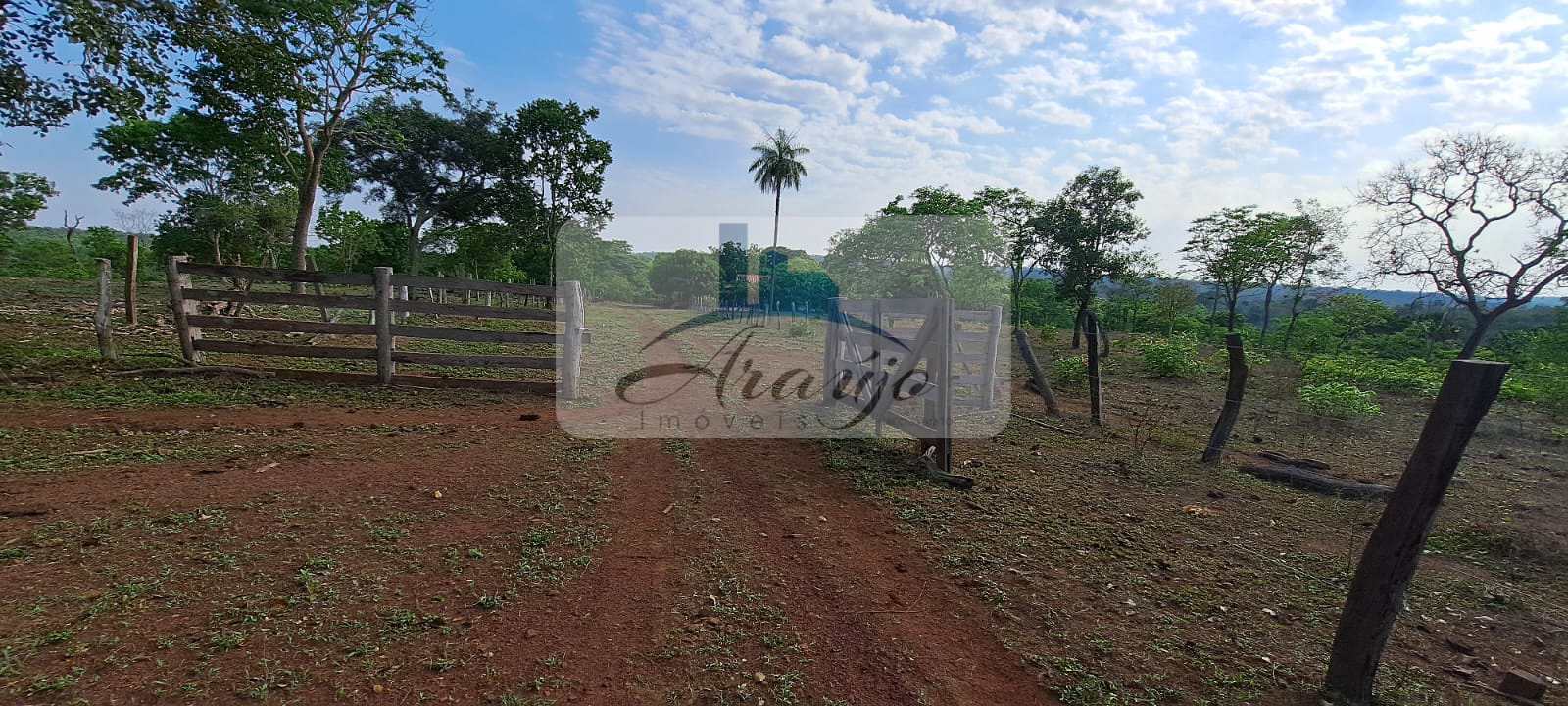 Fazenda à venda com 1 quarto, 30m² - Foto 4