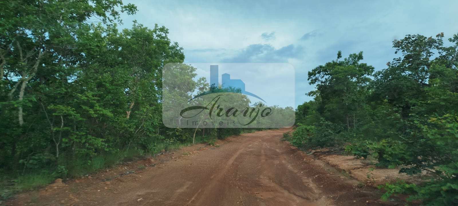 Fazenda à venda com 1 quarto, 35m² - Foto 12