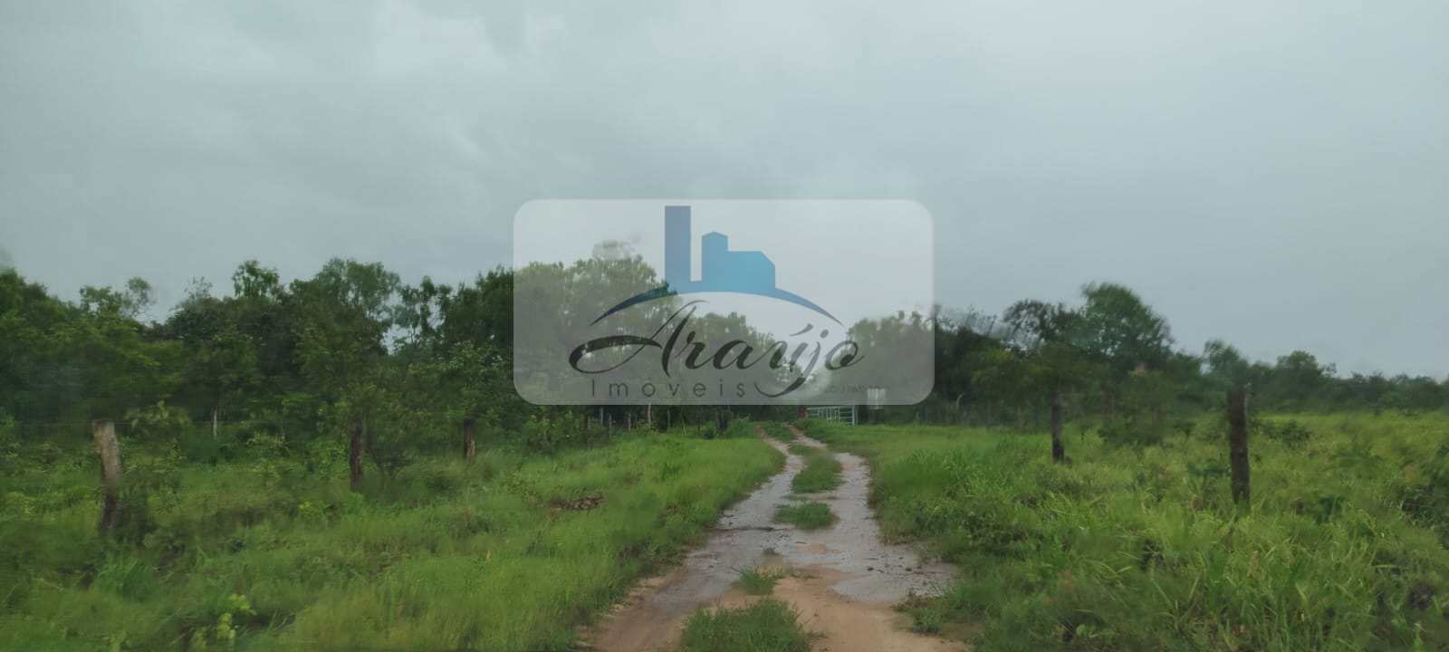 Fazenda à venda com 1 quarto, 35m² - Foto 15