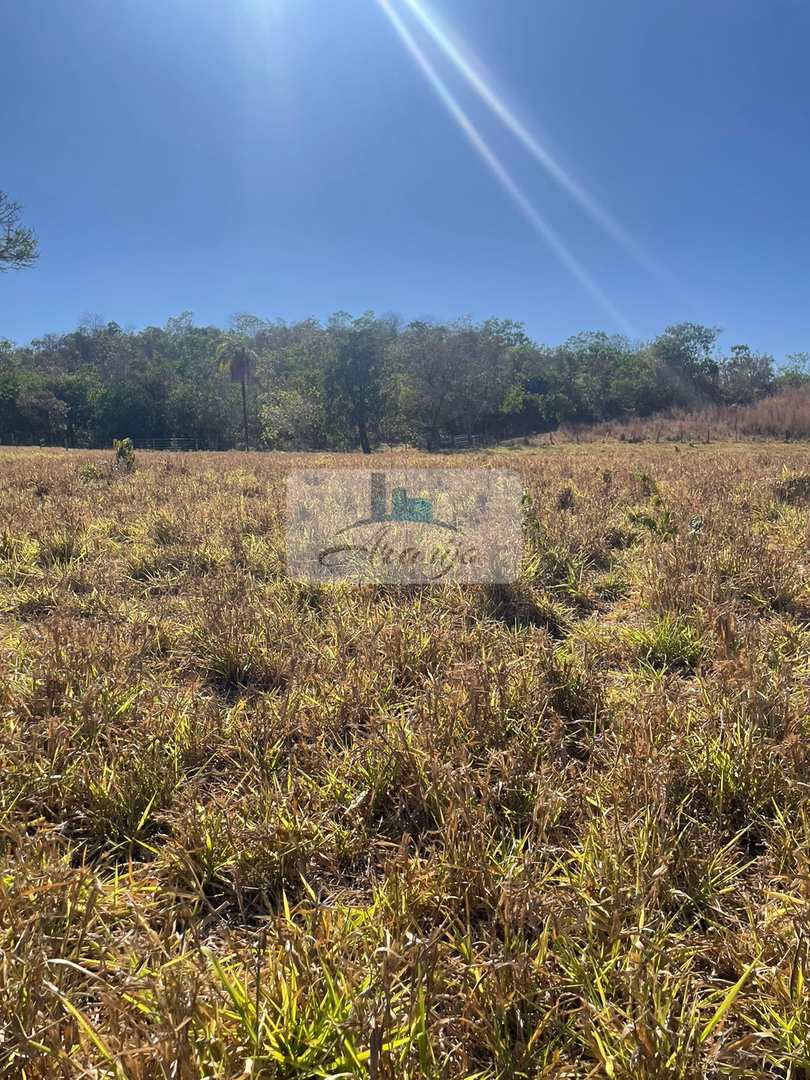 Fazenda à venda com 1 quarto, 90m² - Foto 20