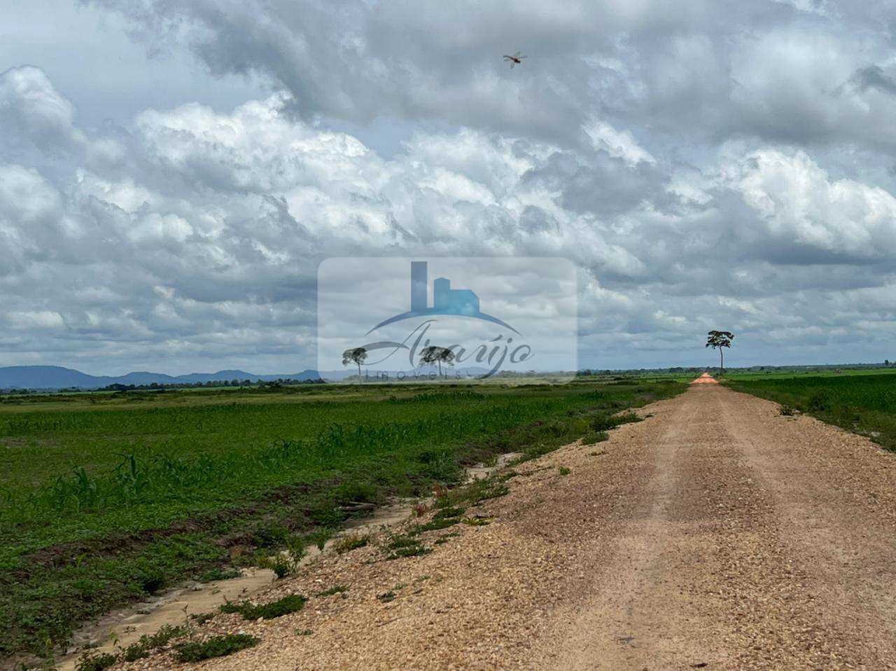 Fazenda à venda com 6 quartos, 834m² - Foto 15