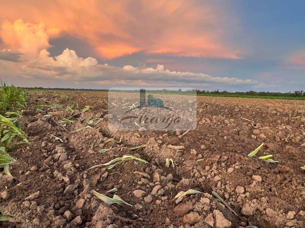 Fazenda à venda com 6 quartos, 834m² - Foto 18