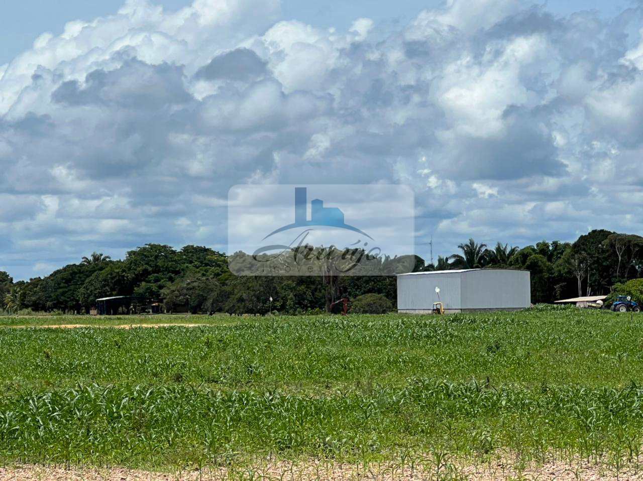 Fazenda à venda com 6 quartos, 834m² - Foto 5