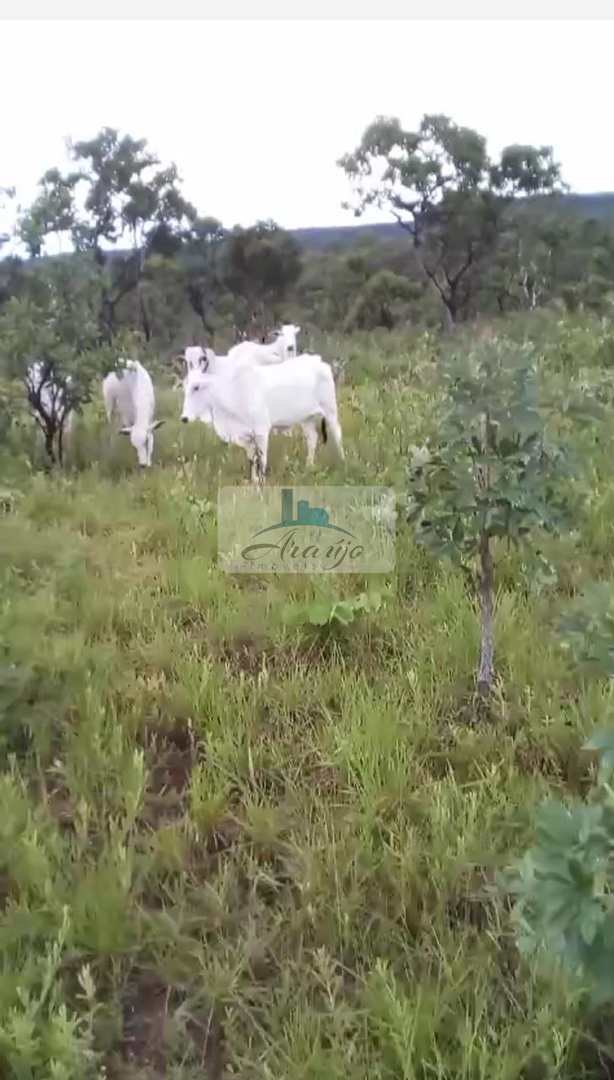 Fazenda à venda, 153m² - Foto 1