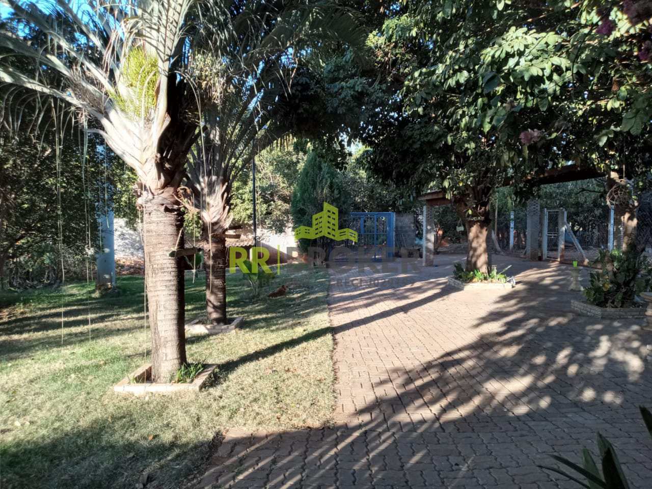 Fazenda à venda com 3 quartos, 1000m² - Foto 3