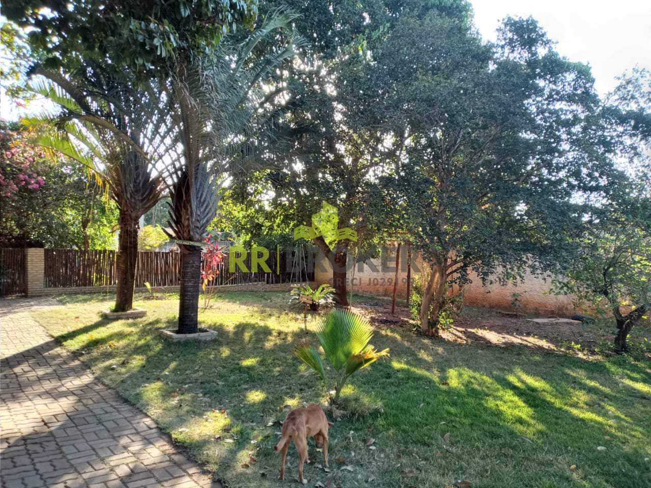 Fazenda à venda com 3 quartos, 1000m² - Foto 9