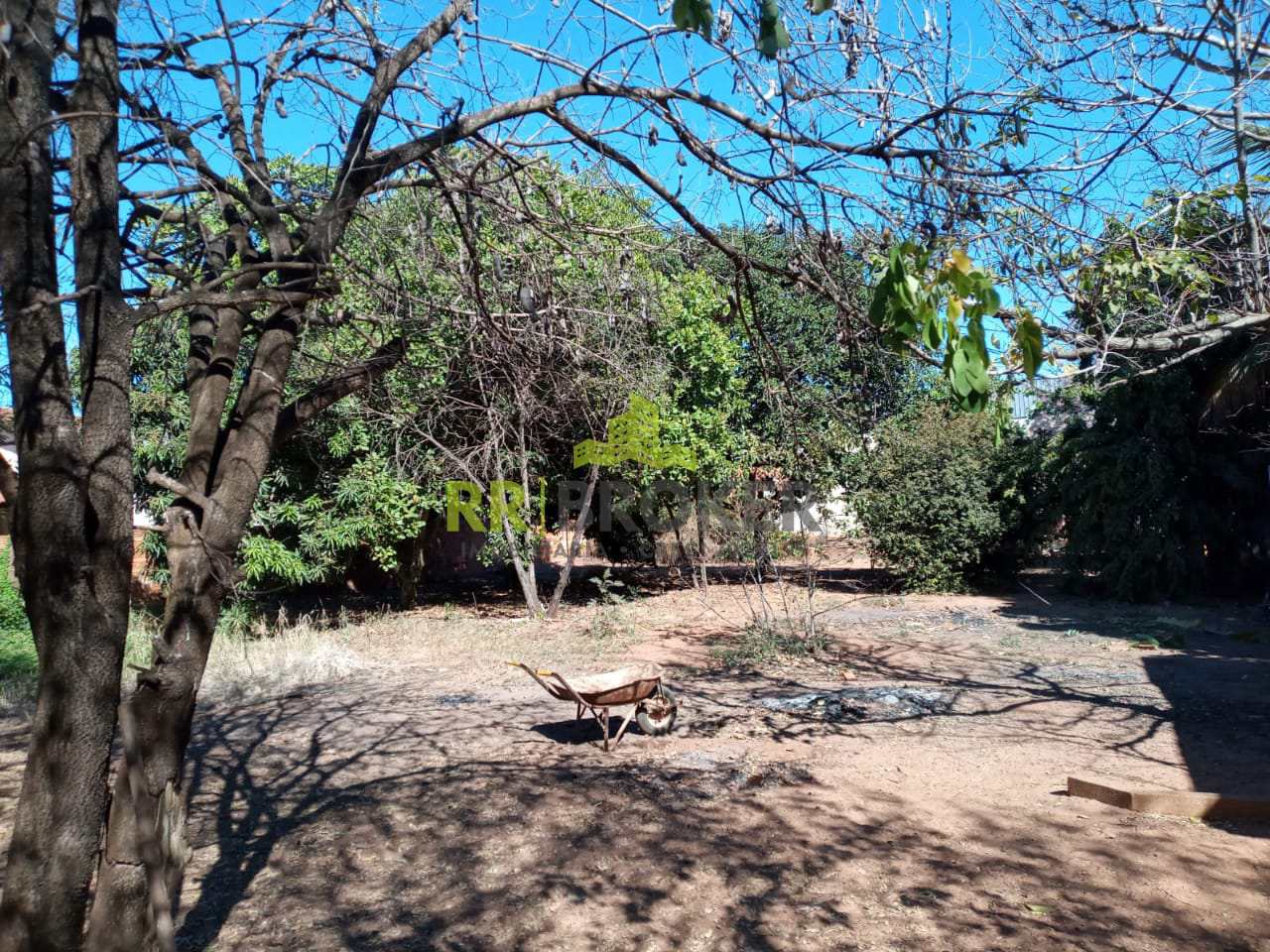 Fazenda à venda com 3 quartos, 1000m² - Foto 24