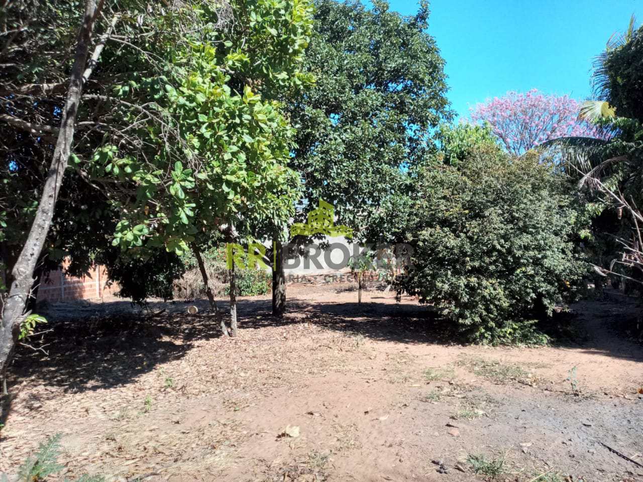 Fazenda à venda com 3 quartos, 1000m² - Foto 22