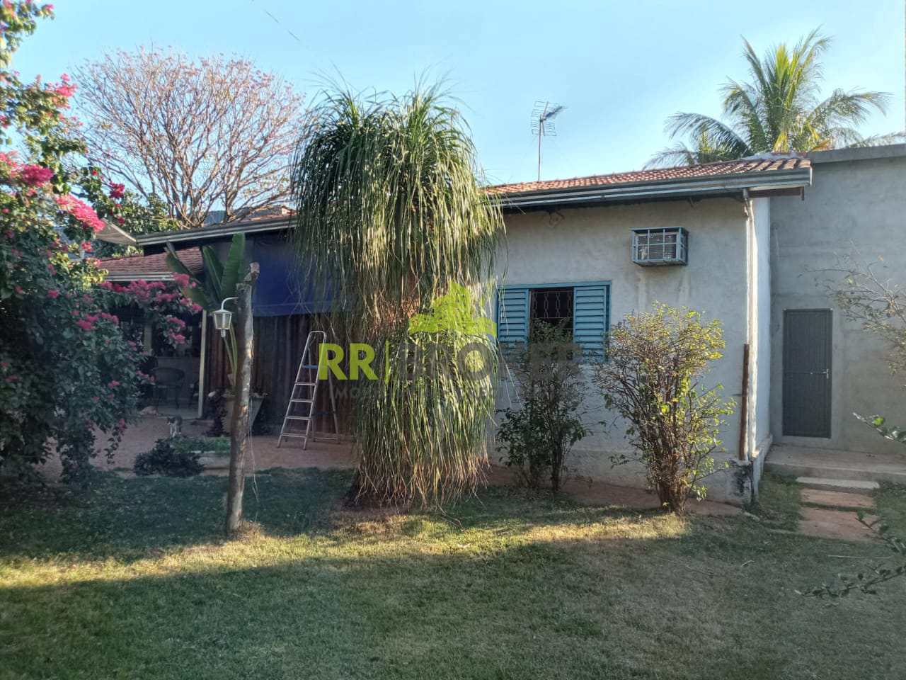 Fazenda à venda com 3 quartos, 1000m² - Foto 18