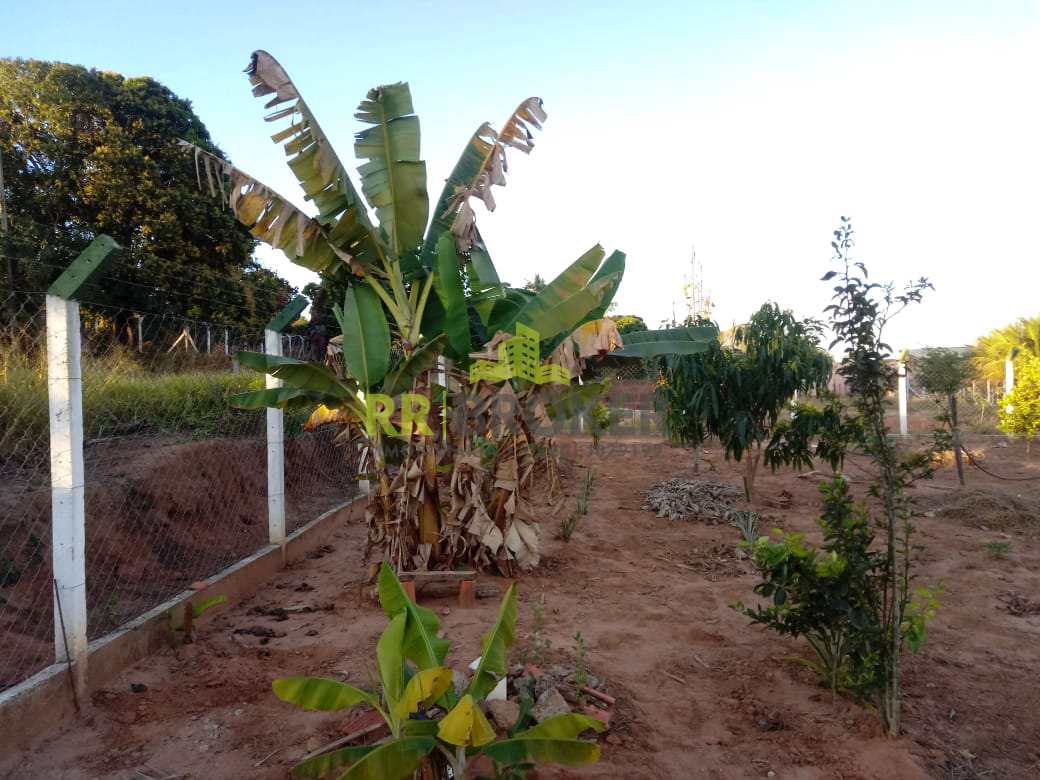 Fazenda à venda com 2 quartos, 200m² - Foto 10