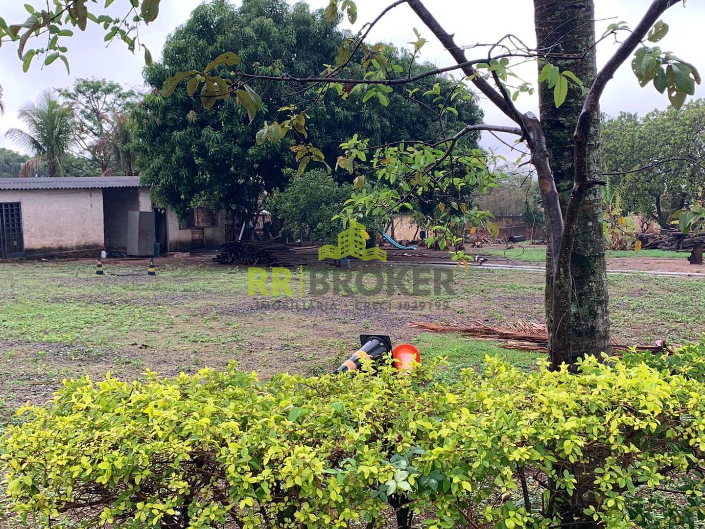 Fazenda à venda com 5 quartos, 7000m² - Foto 10