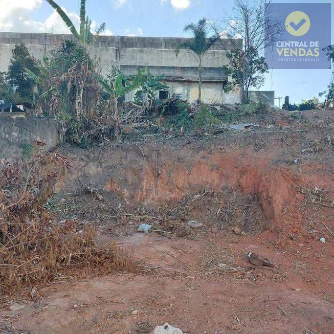 Loteamento e Condomínio à venda, 1000m² - Foto 13