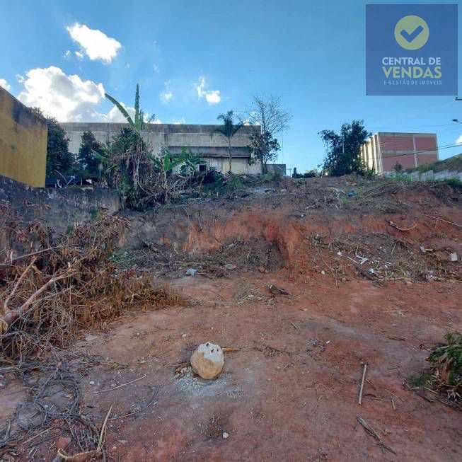 Loteamento e Condomínio à venda, 1000m² - Foto 4