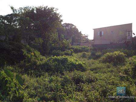 Terreno à venda, 2250m² - Foto 3